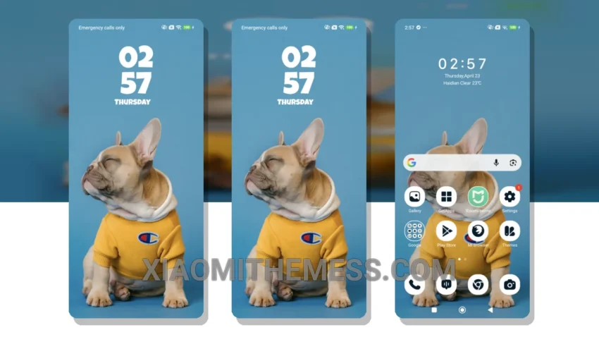 Sunshine Companion MTZ Theme: A Minimalist Delight for Xiaomi and HyperOS