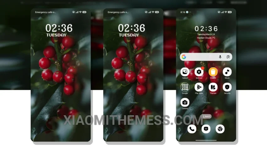 Winter Berries MIUI Themes for Xiaomi and Redmi Devices