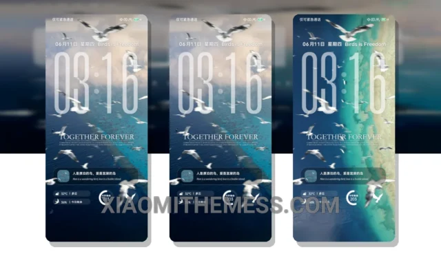 MIUI Themes  Best Xiaomi Redmi Themes, MIUI Themes, Xiaomi Themes