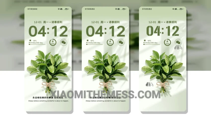 Soft Peach Petals MTZ Theme for a Minimalist Look