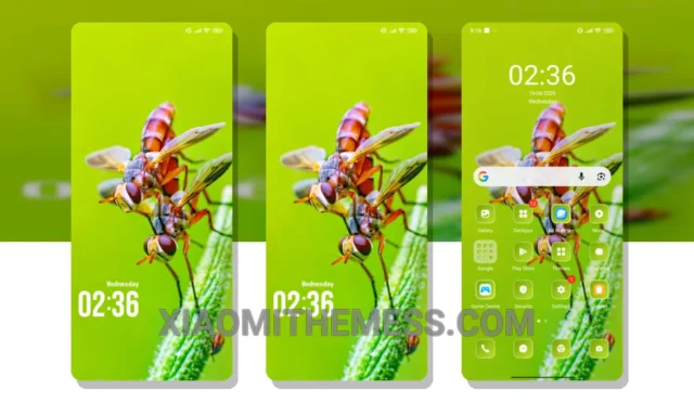 MIUI Themes  Best Xiaomi Redmi Themes, MIUI Themes, Xiaomi Themes